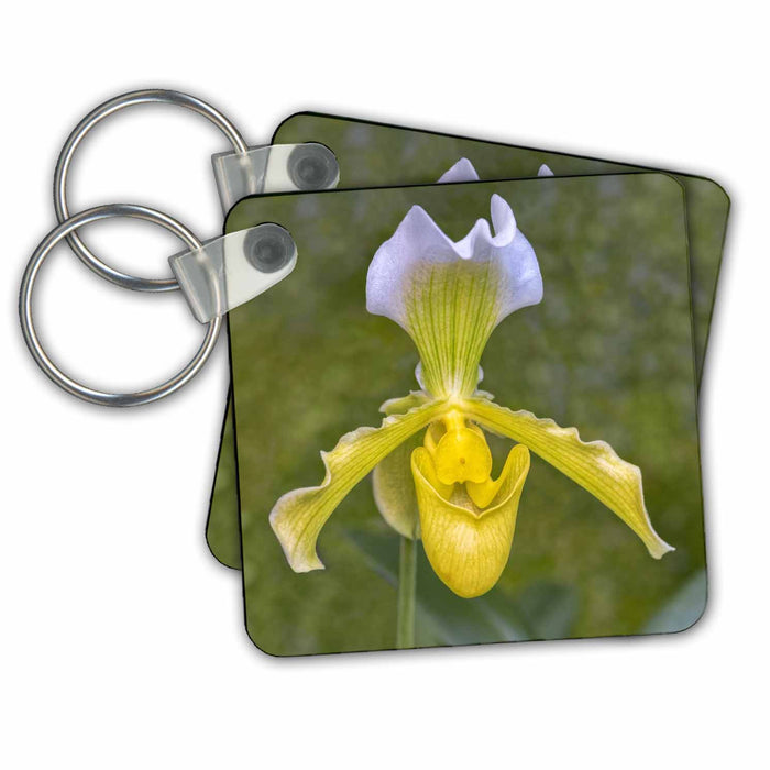 Key Chain - Paphiopedilum orchid, Lady Slipper. Flower