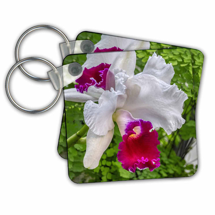 Key Chain - Cattleya orchid. Flower