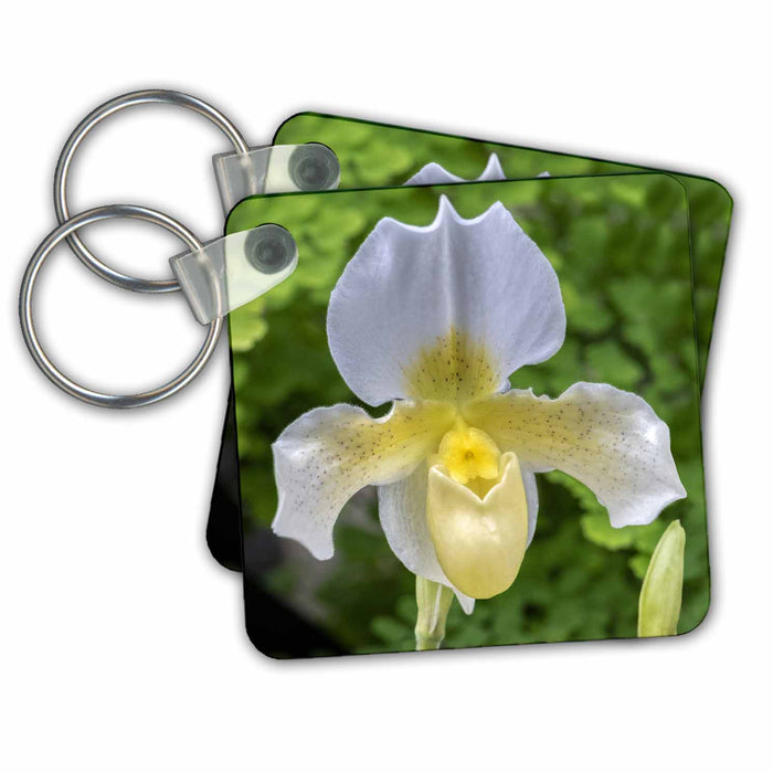 Key Chain - White and yellow Paphiopedilum orchid, Lady Slipper. Flower