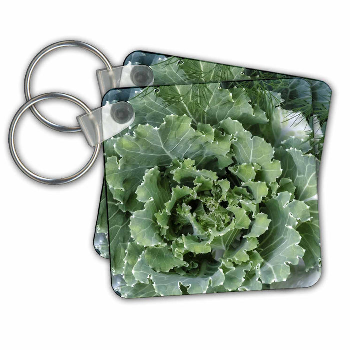 Key Chain - Ornamental Kale Plants