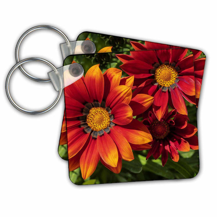 Key Chain - Gazania flowers Flower