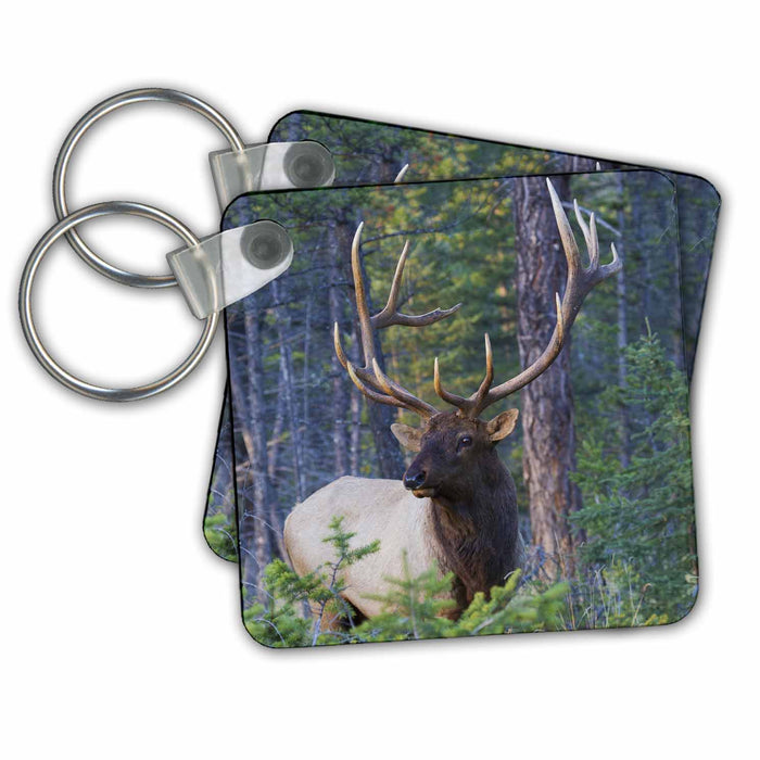 Key Chain - Bull elk portrait Elk