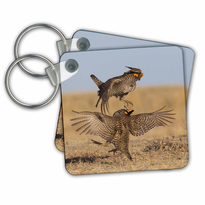 Key Chain - Greater prairie chickens, territorial battle Birds