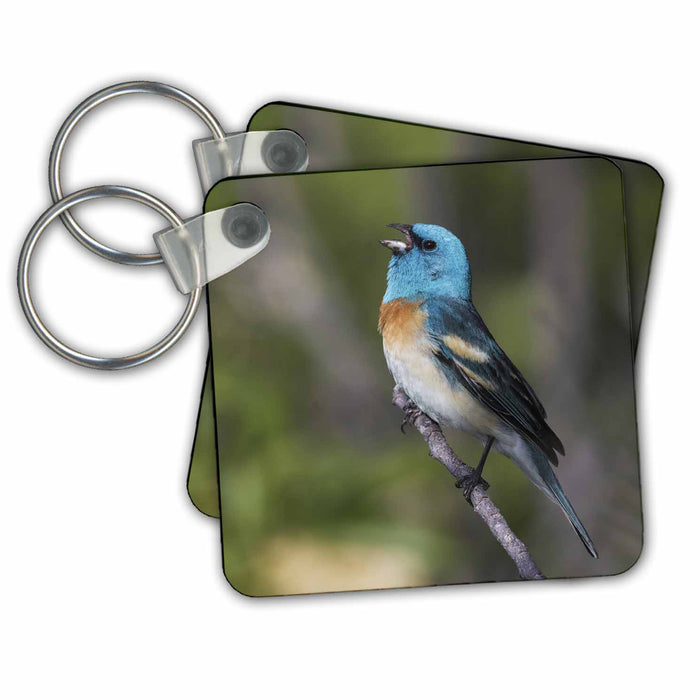 Key Chain - Lazuli bunting singing. Birds