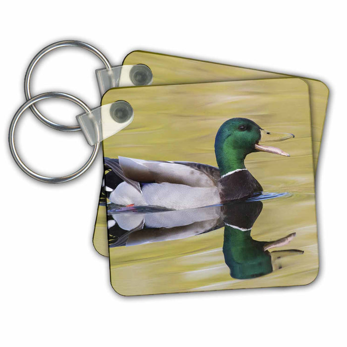 Key Chain - Mallard drake quacking Ducks