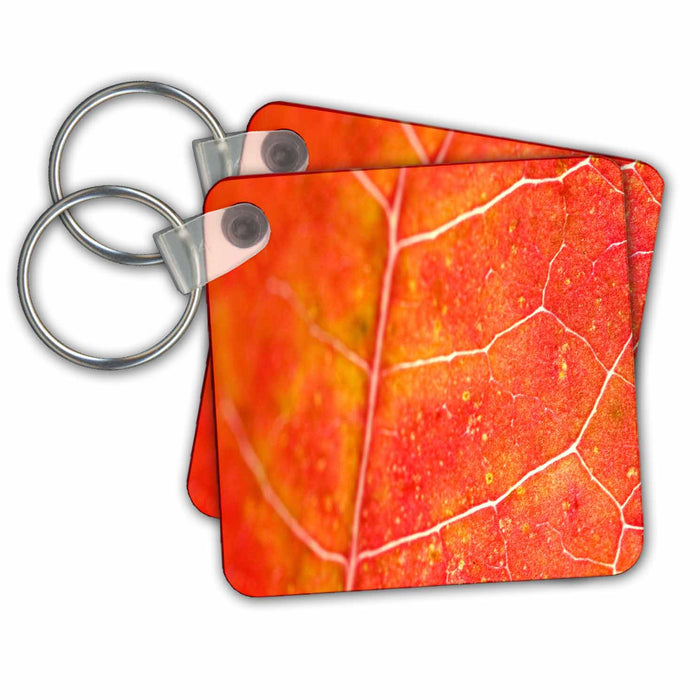 Key Chain - Orange Leaf Colorful Leaves