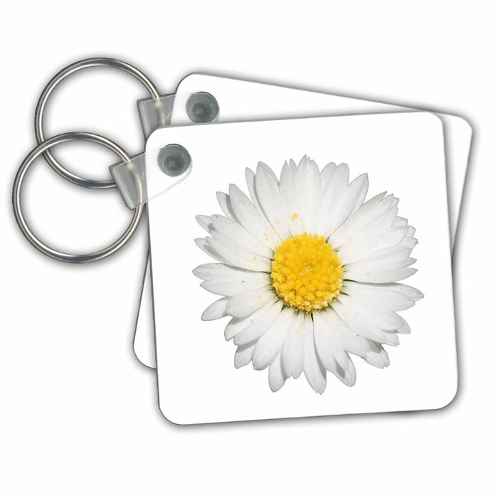 Key Chain - Beautiful Yellow And White Daisy Flower Cut Out On White Vector Art - Daisy