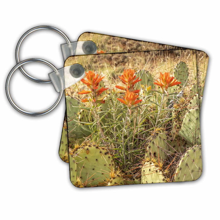 Key Chain - USA, New Mexico. Indian paintbrush and prickly pear cactus. Cactus