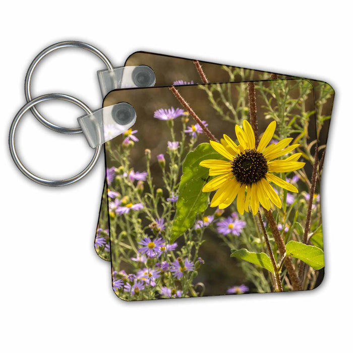 Key Chain - USA, New Mexico. Blooming sunflower and asters. SunFlowers