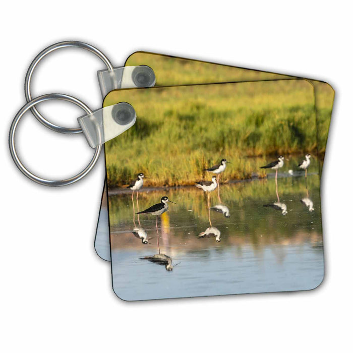 Key Chain - USA, New Mexico, Valencia Cty. Black necked stilts reflected. Birds