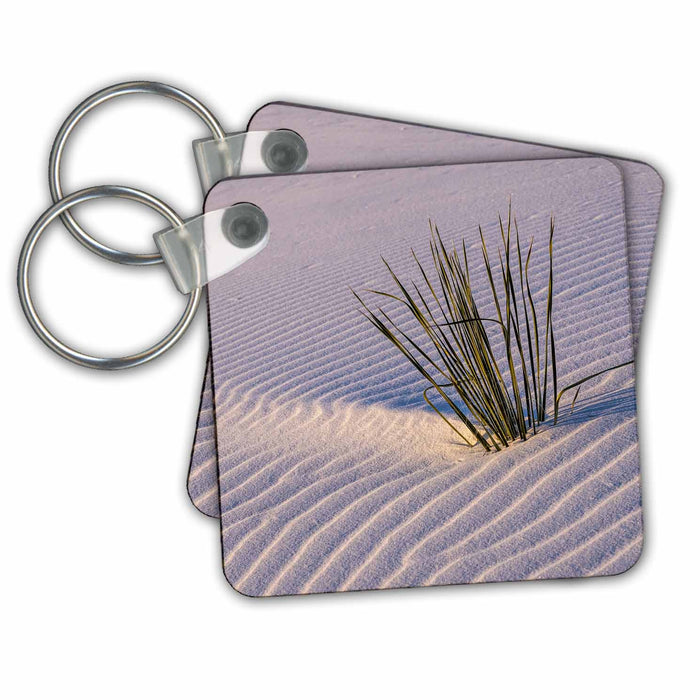 Key Chain - USA, New Mexico, White Sands NP. Grass growing in sand. Sand Dunes