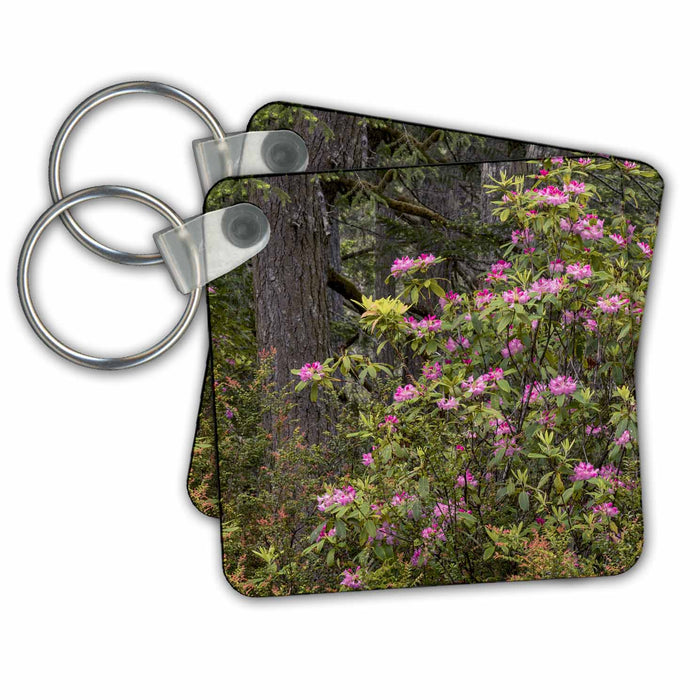 Key Chain - Rhododendron, Siuslaw National Forest, Oregon, USA California