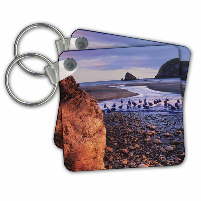 Key Chain - USA, Oregon. Sunset on beach and seagulls at Harris Beach State Park. Beach