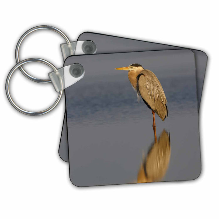 Key Chain - Great Blue Heron and reflection, South Padre Island, Texas Birds