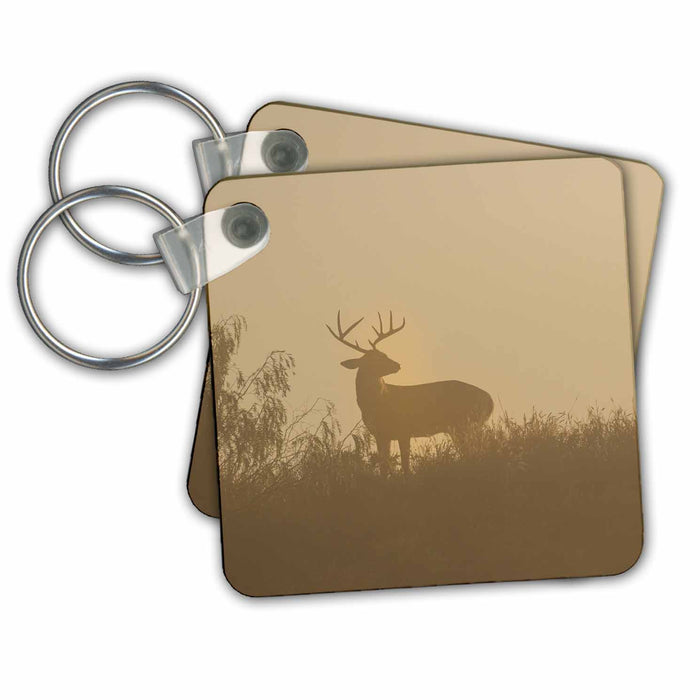 Key Chain - White tailed Deer silhouetted on hill Deer