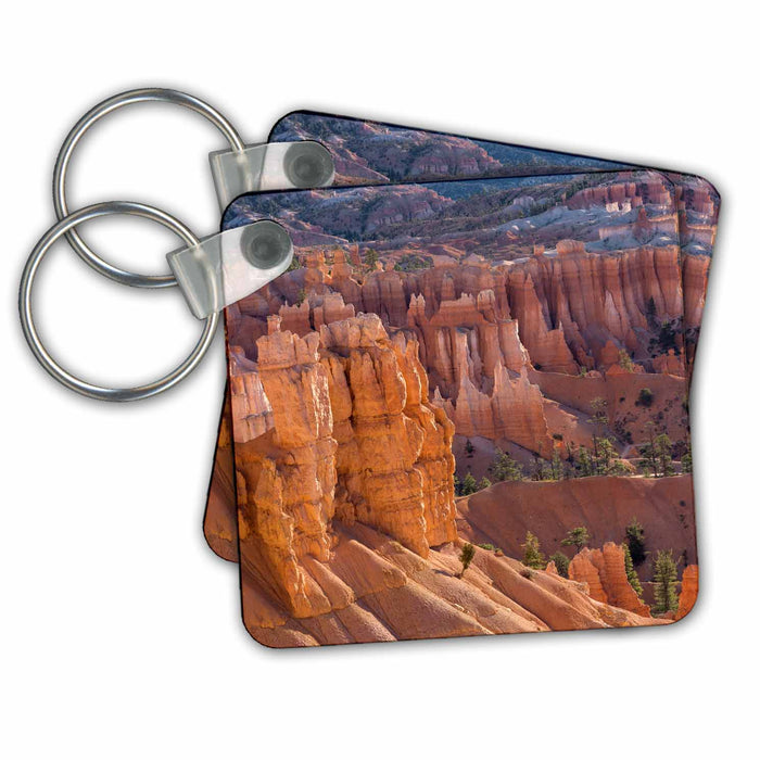 image of set of 4 Key Chains