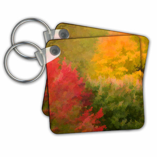 image of set of 2 Key Chains