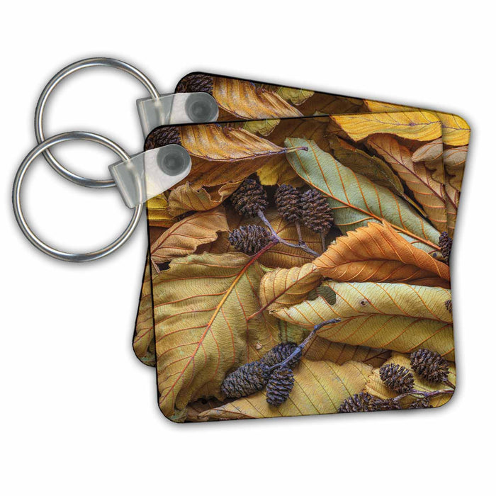 Key Chain - USA, Washington State, Seabeck. Fallen alder leaves and cones. Autumn