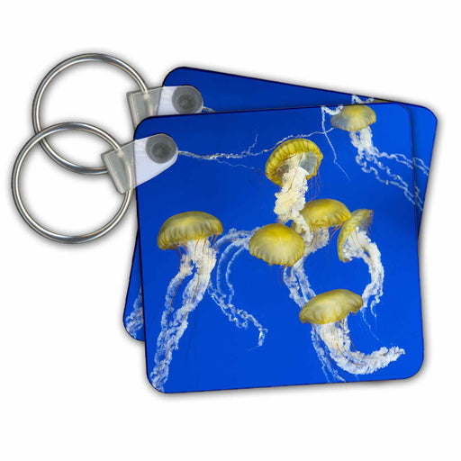 image of set of 2 Key Chains