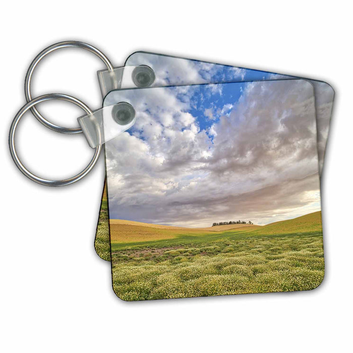 Key Chain - USA, Washington State, Palouse. Flowers blooming with large clouds Washington