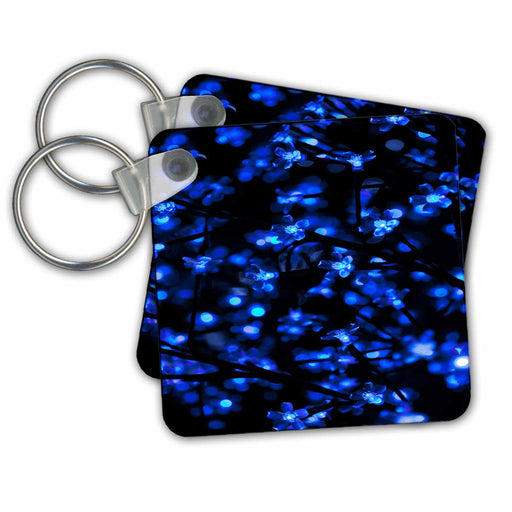 image of set of 2 Key Chains