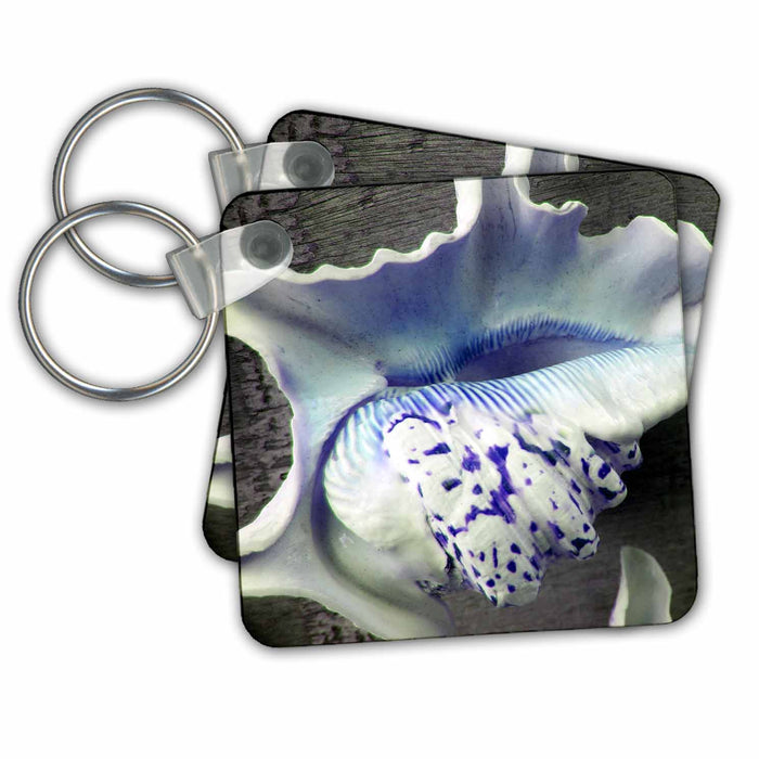 Key Chain - Blue Purple Speckled Sea Shells Sea Shells