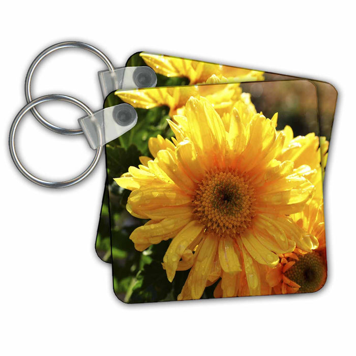 Key Chain - Daisy with Sun Shining on it WhiteOak Photography Floral Prints