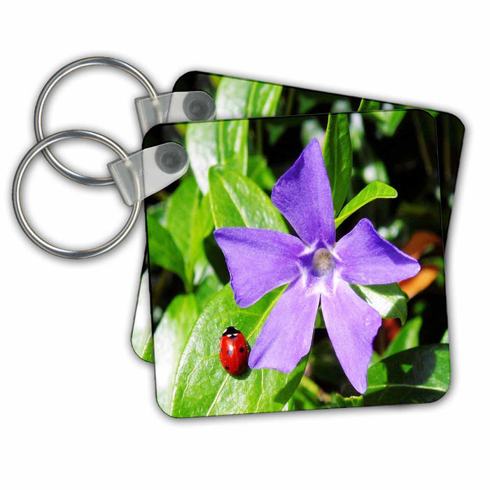 Key Chain - Ladybug On Savinca Purple Flower Flower