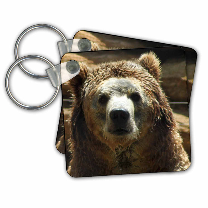 Key Chain - Grizzly Bear just out of water WhiteOak Photography-Bears