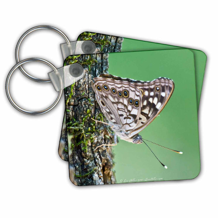 Key Chain - Hackberry Emperor Butterfly Photography Hot Springs National Park Butterflies and Moths