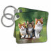 image of set of 2 Key Chains