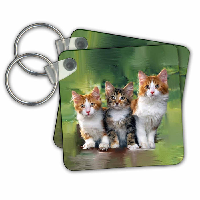 image of set of 4 Key Chains