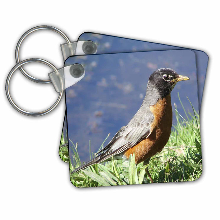 Key Chain - Lil Robin Birds