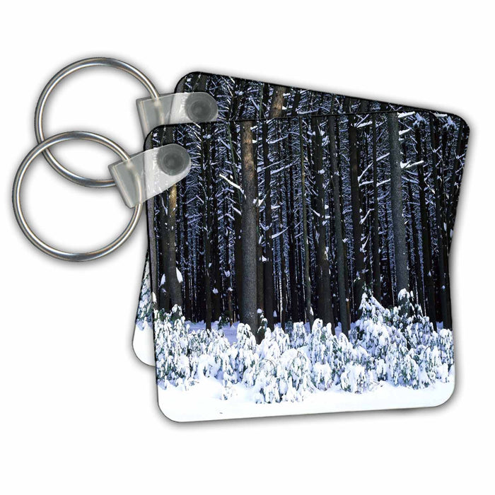 Key Chain - Winter In Pocono Mountains Pennsylvania America The Beautiful