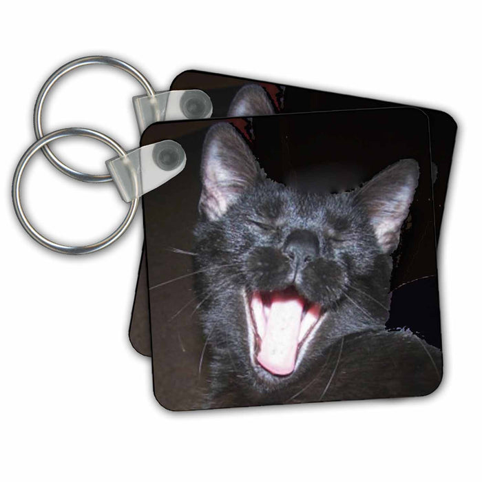 Key Chain - Black Cat Yawning Cat Designs