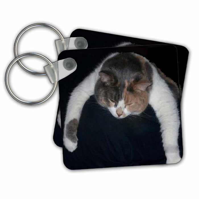 Key Chain - Cat Sleeping on Shoulder Cat Designs