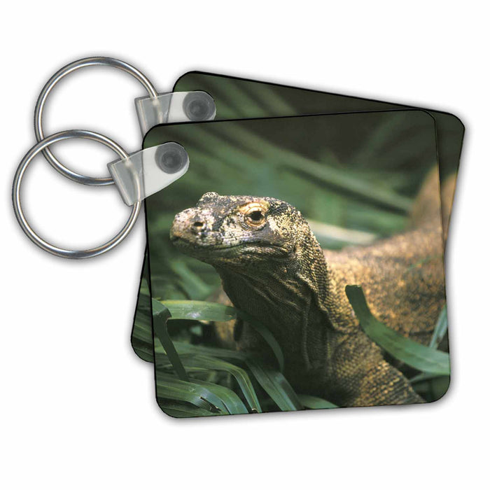 Key Chain - Oceania, Indonesia, Komodo dragon (Lizard)-AS11 MWE0235 - Michele Westmorland Lizards