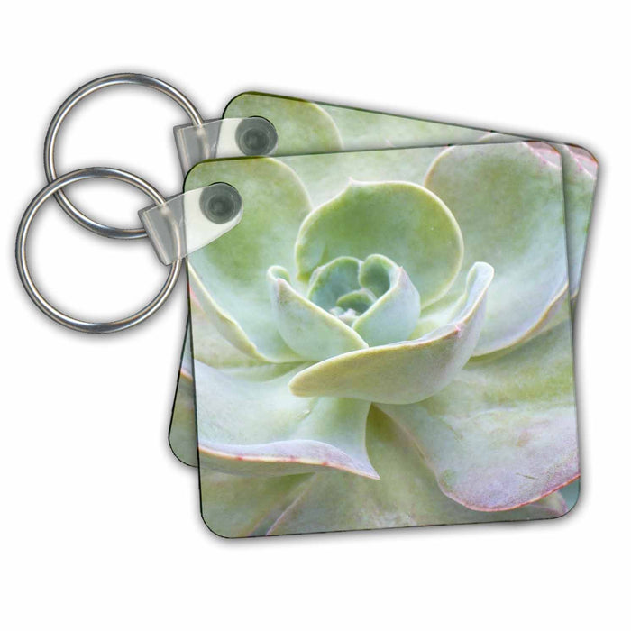 Key Chain - Soft Green Cactus Plant