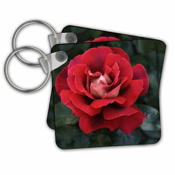 Key Chain - Opened red rose Photography – Flowers