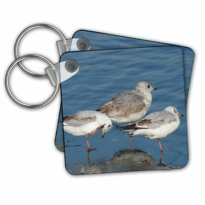 image of set of 2 Key Chains