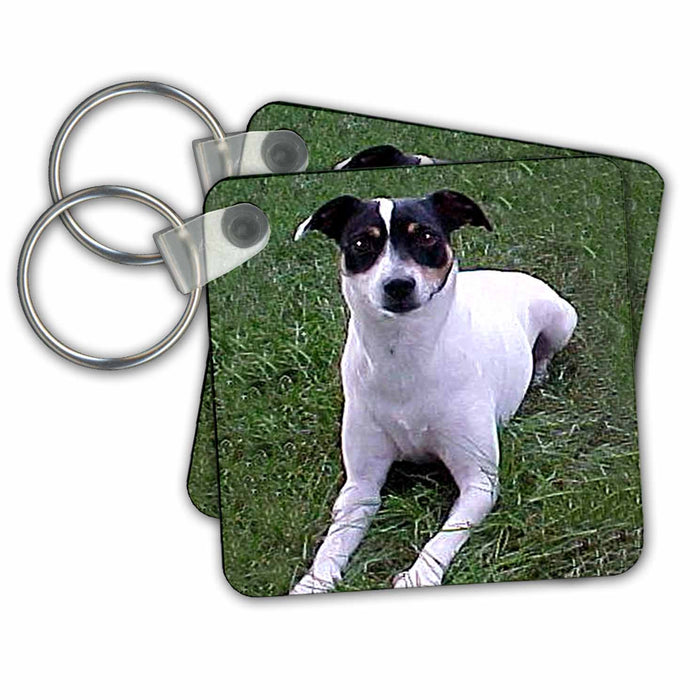 Key Chain - Rat Terrier Dogs Rat Terrier