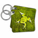 image of set of 2 Key Chains