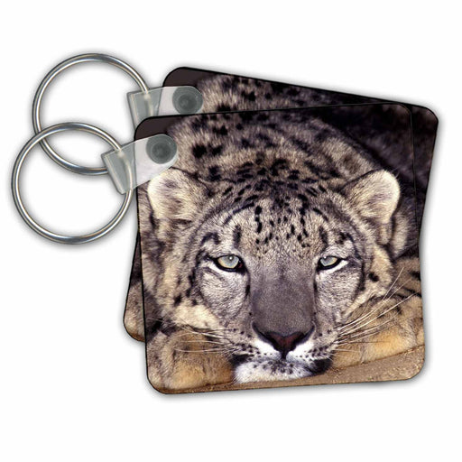 image of set of 2 Key Chains