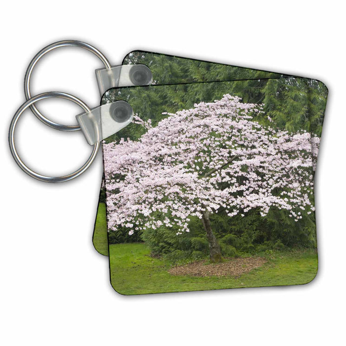 Key Chain - Seattle, Washington Arboretum, Cherry tree - US48 JWI2030 - Jamie and Judy Wild Trees