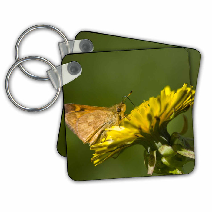 Key Chain - Redmond, Woodland Skipper butterfly, dandelion - US48 JWI2121 - Jamie and Judy Wild Butterflies