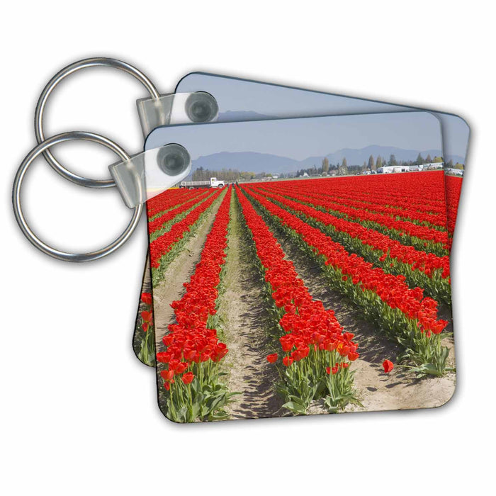 Key Chain - WA, Skagit Valley, Tulip Farm in full bloom - US48 JWI2819 - Jamie and Judy Wild Farms