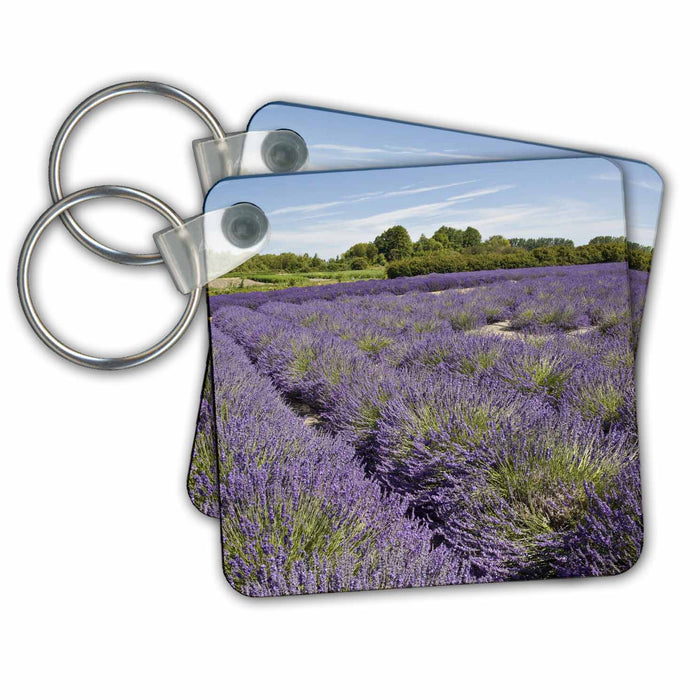 Key Chain - Washington, Sequim, Lavender agriculture - US48 JWI3067 - Jamie and Judy Wild Agriculture