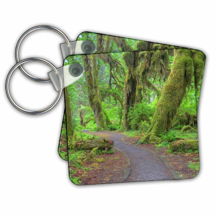 Key Chain - WA, Olympic NP, Hoh Rainforest, Hall of Mosses - US48 JWI3361 - Jamie and Judy Wild Rainforests