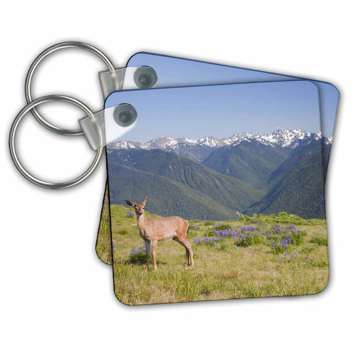 Key Chain - Olympic NP, Hurricane Ridge, Black-tailed deer - US48 JWI3392 - Jamie and Judy Wild Deer