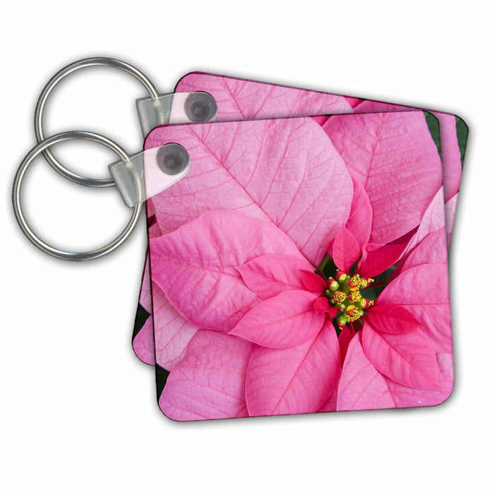 Key Chain - WA, Molbaks Nursery, Poinsettia Flower Festival - US48 JWI3488 - Jamie and Judy Wild Flowers